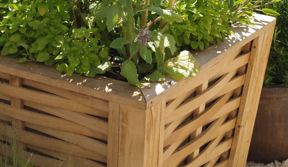 oak-planter